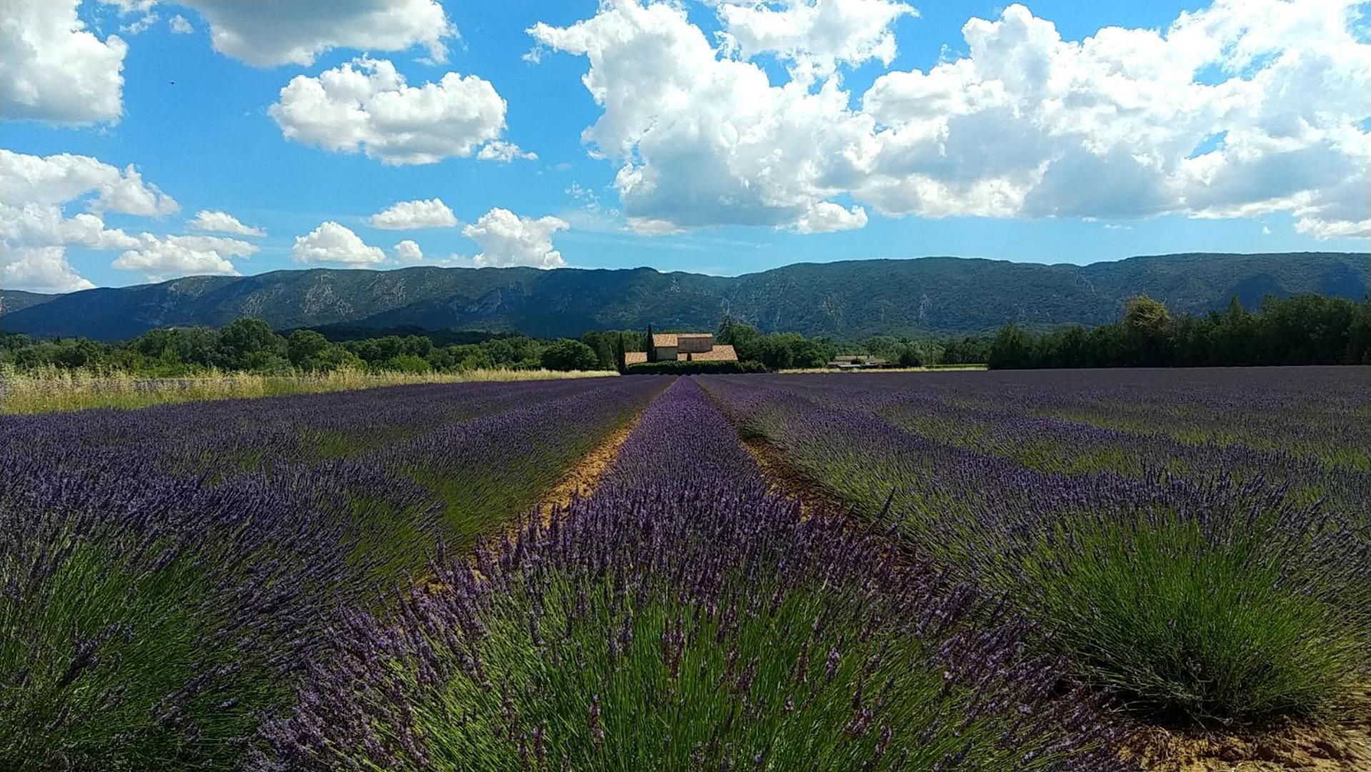 Le Mas De Roussillon Roussillon  Ngoại thất bức ảnh