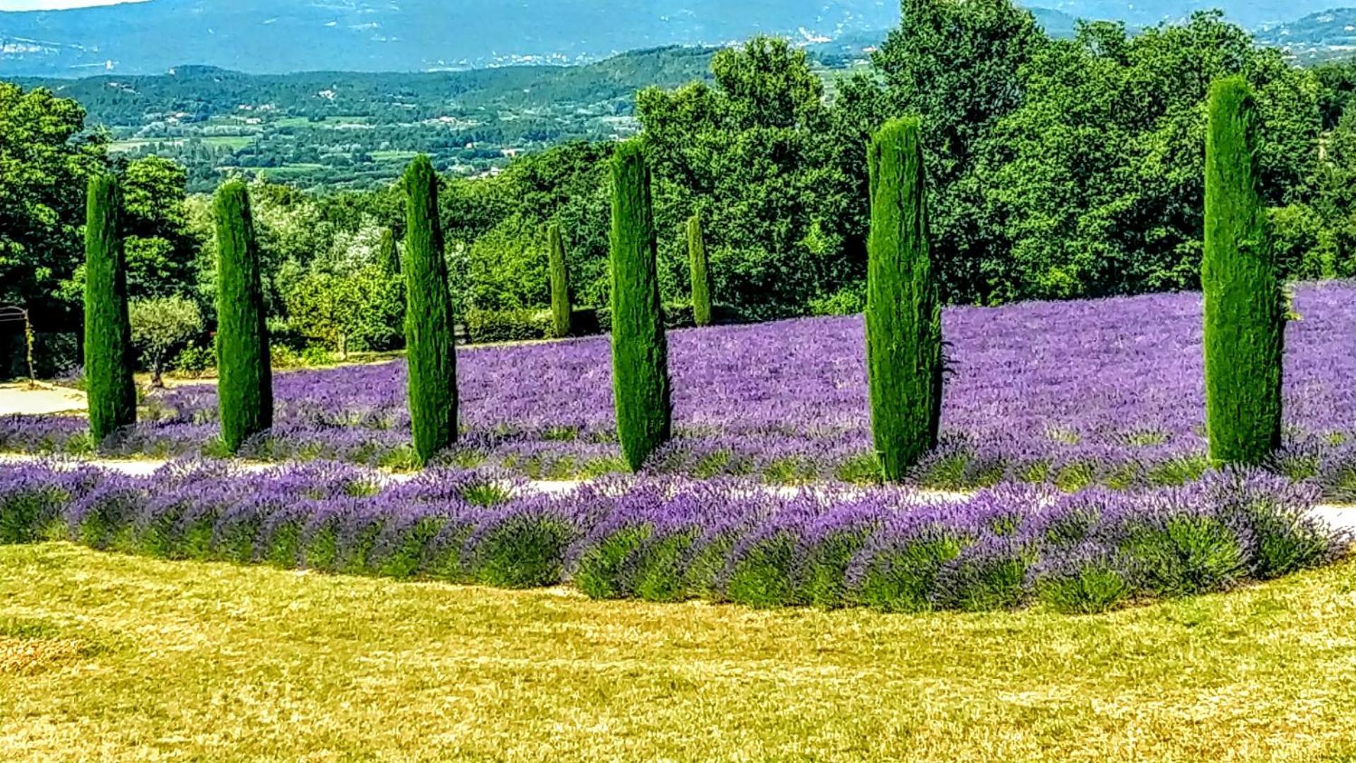 Le Mas De Roussillon Roussillon  Ngoại thất bức ảnh
